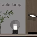 Modern Table Lamps With Glass Shades And Green Plant On Wooden Table