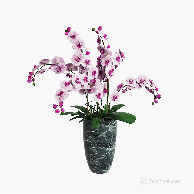 Potted Orchid Plant With Pink And White Flowers In Grey Marble Vase And Green Leaves 3d model 
