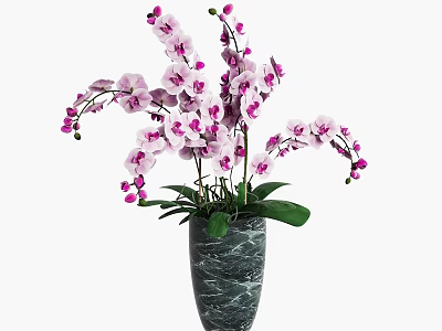 Potted Orchid Plant With Pink And White Flowers In Grey Marble Vase And Green Leaves 3d model