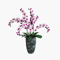 Potted Orchid Plant With Pink And White Flowers In Grey Marble Vase And Green Leaves
