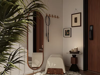 Stylish Entryway Hallway Interior Featuring Large Mirror Coat Hooks Palm Plant And Decorative Paintings 3d model
