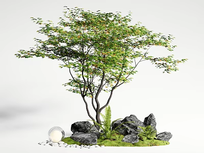 Lush Green Tree with Black Stones Green Moss Ferns and Transparent Sphere on White Pebbles 3d model
