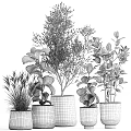 Various Leafy Potted Plants in Stylish Dark Ceramic Pots for Home Decor