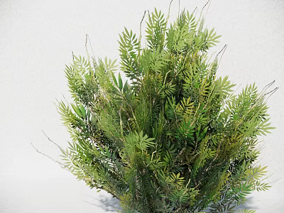 Lush Green Leafy Plants With Dense Foliage In Various Green Shades On White Background 3d model
