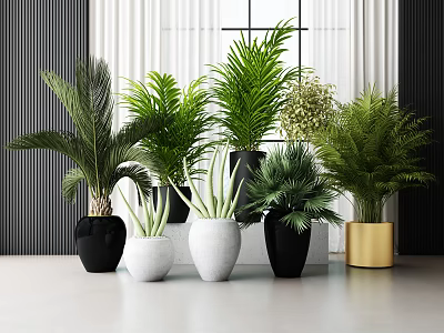 Various Decorative Indoor Potted Plants In Different Colored Ceramic Pots 3d model