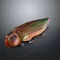 Iridescent Metallic Beetle Insect With Colorful Shiny Exoskeleton In Close Up View