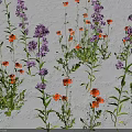 Vibrant Red and Purple Flowers with Green Stems and Leaves on White Background
