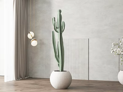 Green Cactus Potted Plant In White Round Pot On Wooden Floor With Light Gray Wall 3d model