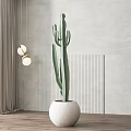Green Cactus Potted Plant In White Round Pot On Wooden Floor With Light Gray Wall