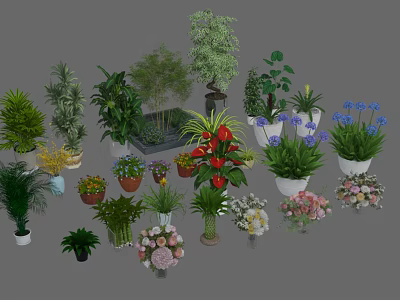 Variety of Bonsai Potted Plants with Different Greenery and Decorative Planters 3d model