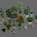 Variety of Bonsai Potted Plants with Different Greenery and Decorative Planters