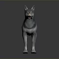 Gray and White Wolf in Standing Pose on Reflective Floor with Gray Gradient Background 3d model