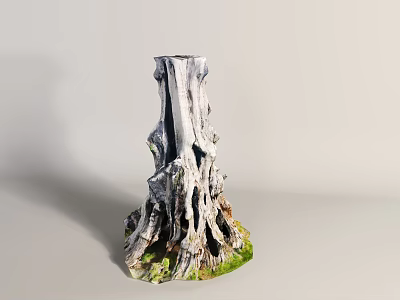 Natural Tree Stump With Grayish White Texture Irregular Shape And Green Moss 3d model