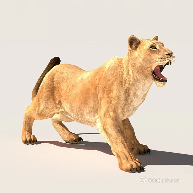 Realistic Tan Fur Lioness Standing With Open Mouth In Roaring Posture And Smooth Texture 3d model 