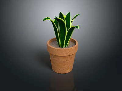 Green Potted Plant With Yellow Edged Leaves In Brown Terracotta Pot 3d model
