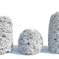 Neatly Trimmed Green Bushes With Different Shapes For Garden Landscaping