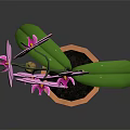 Pink Orchid Plant With Purple Flowers And Green Leaves In Terracotta Pot On Dark Background