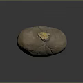Medical Device Anatomical Organ Model with Yellow Pathological Lesion for Training