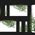 Green Vines with Lush Foliage Covering White Walls and Wrapping Around Columns