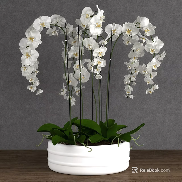 Elegant Decorative Ornament Set With White Orchids Slender Stems Green Leaves And White Pot 3d model 