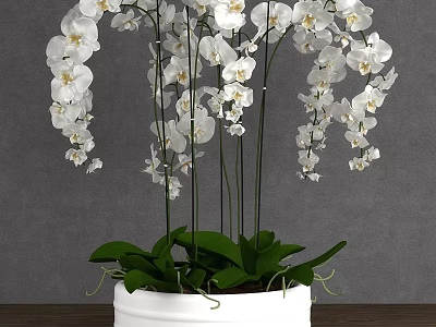Elegant Decorative Ornament Set With White Orchids Slender Stems Green Leaves And White Pot 3d model