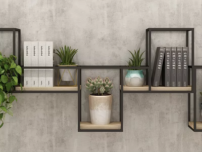 Black Frame Wall Cabinets with Books Green Plants and Succulents on Gray Concrete Wall 3d model