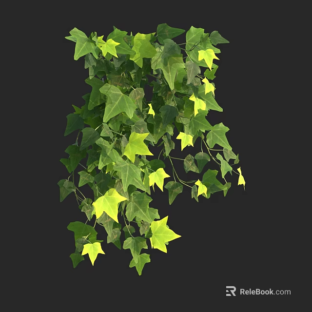 Lush Hanging Ivy With Vibrant Green And Yellow Leaves For Home Decor 3d model 