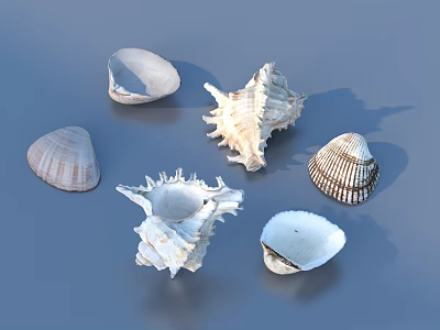 Various Seashells Showcasing Unique Shapes And Textures On Blue Background 3d model