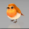 Adorable Orange and White Bird with Big Black Eyes Standing on Dark Surface Showing Reflection