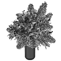 Textured White Ceramic Vase With Dried Pampas Grass And Natural Flower Arrangement