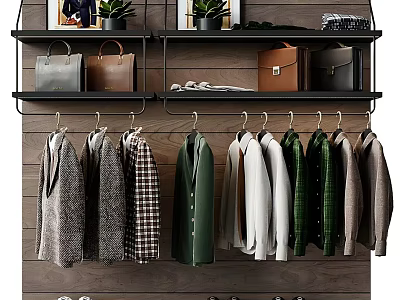 Modern Closet On Wooden Wall With Hanging Clothes Bags And Plants 3d model