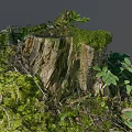 Rustic Stone And Wood Stump Covered With Green Moss And Plants