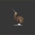 Detailed Brown Kiwi Bird Sculpture With Long Beak Standing On White Base