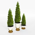 Conical Green Garden Plants In White Planters With Gold Base For Home Garden Decor