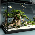 Aquarium Tank Natural Landscape with Green Plants Moss Covered Rocks and Colorful Fish