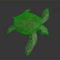 Green Sea Turtle With Brownish Shell And Textured Green Flippers On Dark Background