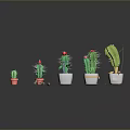 Colorful Potted Cactus Plants Of Various Sizes With Red Blooms And Spines