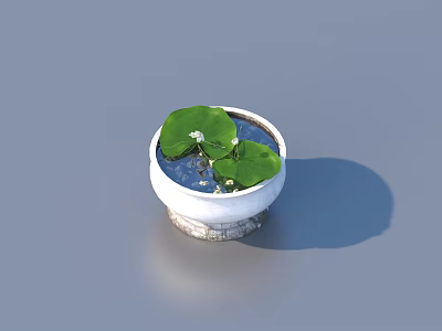 Bonsai Potted Water Plant With Green Lotus Leaves In White Ceramic Pot 3d model