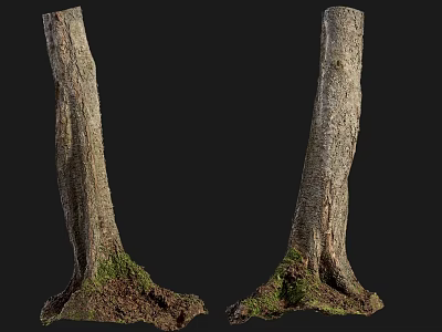 Natural Stone And Wood Tree Trunks With Moss Covered Base And Soil Details 3d model