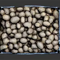 Fresh Potatoes in Blue Plastic Crate Fully Loaded with Healthy Vegetables
