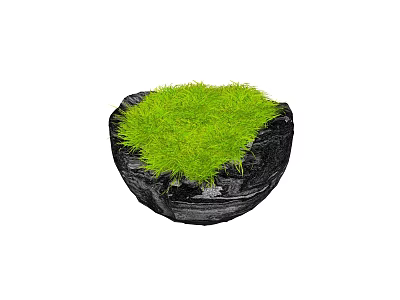 Green Grass Bonsai Potted Plant in Black Stone Pot for Indoor Decoration 3d model