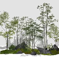 Lush Arbor Trees in Natural Landscape With Rocks and Green Grass