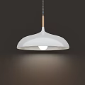 Modern Sleek Oval Chandelier With LED Light Suspended In Interior Space