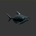 Light Blue Aquatic Animal Shark 3D Model With Fins Sharp Teeth On Dark Background