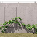 Modern Parthenocissus Landscape Tree 3d model