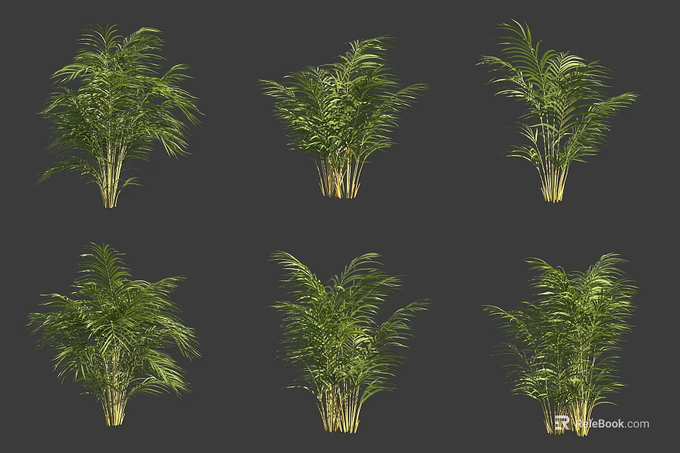 Various Tropical Shrubs With Lush Green Foliage For Garden Landscaping Projects 3d model 