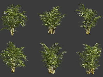 Various Tropical Shrubs With Lush Green Foliage For Garden Landscaping Projects 3d model