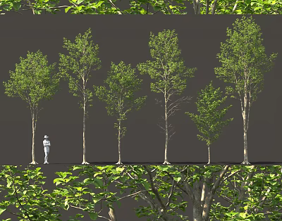 Arbor Trees Of Different Sizes With Green Leaves And Human Figure For Scale 3d model