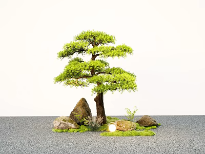 Garden Landscape With Bonsai Pine Tree Stones Moss On Gray Gravel Ground 3d model