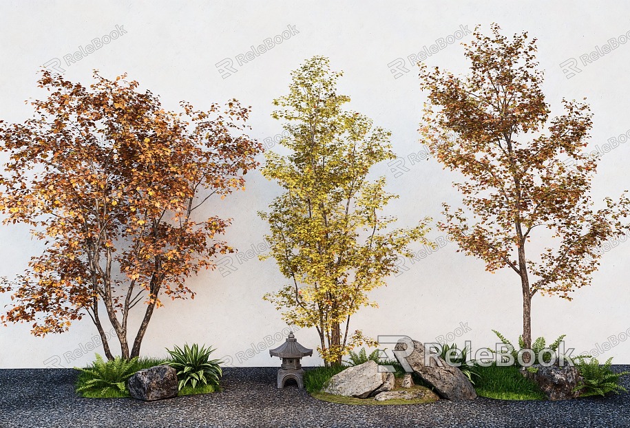 Landscape Tree Tree Tree Maple Garden Pine Tree Landscape Stone model